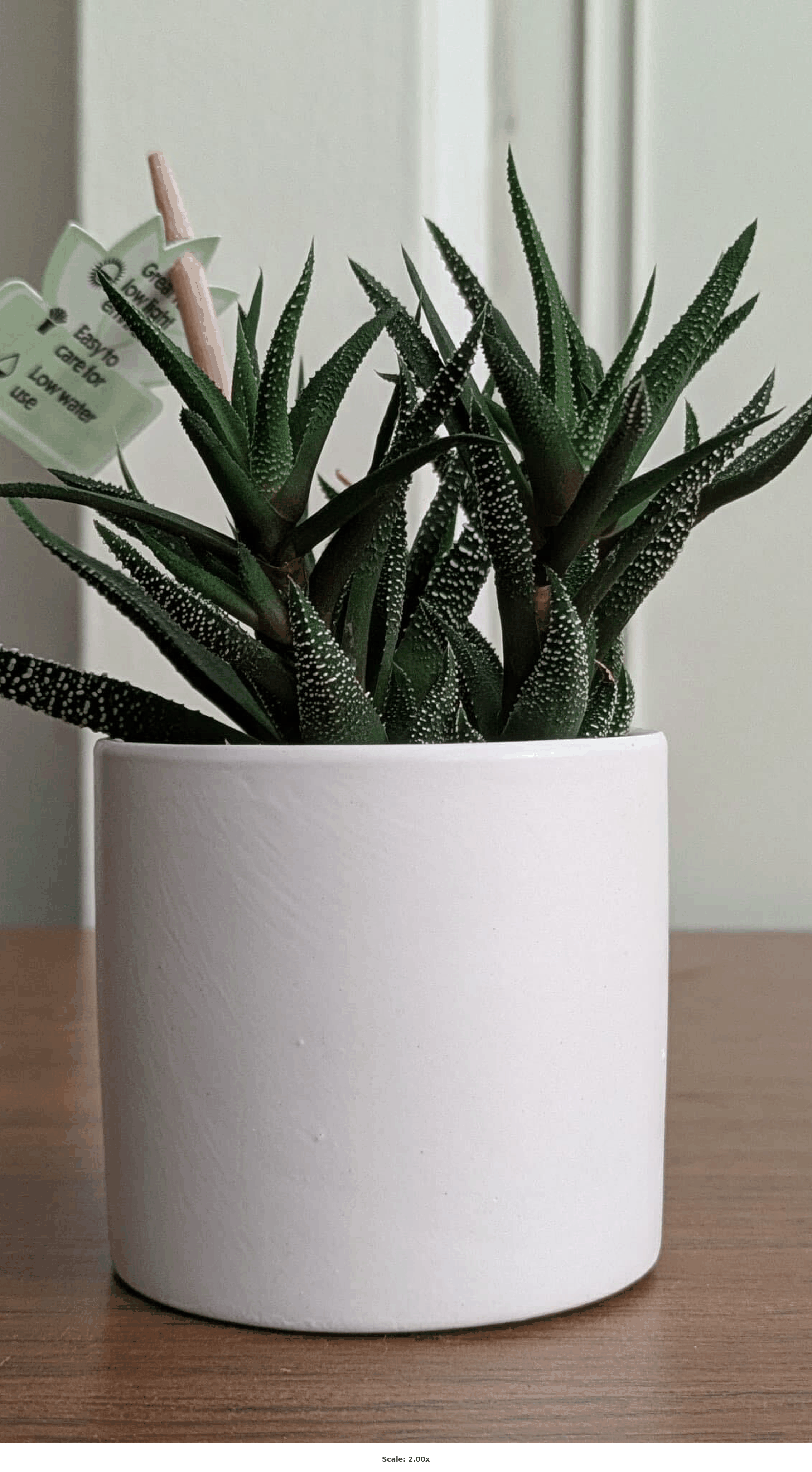 Global scaling example